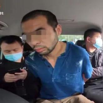 尽心竭力