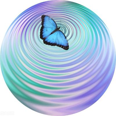 蝴蝶效应 版本,完整的执行系统评估-专业款1_v9.506